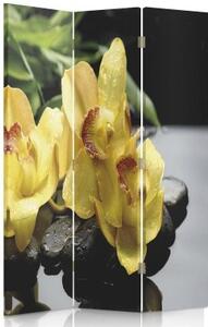 Ozdobný paraván, Žlutá orchidej - 110x170 cm, třídílný, klasický paraván