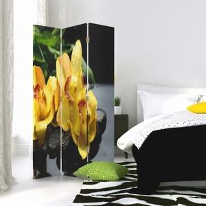 Ozdobný paraván, Žlutá orchidej - 110x170 cm, třídílný, klasický paraván