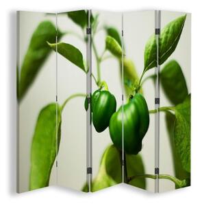 Ozdobný paraván Paprika listová zelená - 180x170 cm, pětidílný, klasický paraván