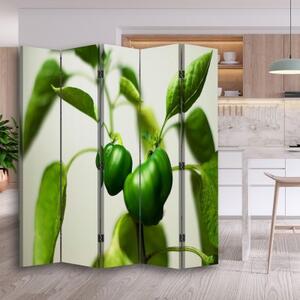 Ozdobný paraván Paprika listová zelená - 180x170 cm, pětidílný, klasický paraván