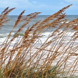 Ozdobný paraván Duny na mořské pláži - 180x170 cm, pětidílný, klasický paraván
