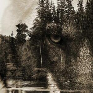 Ozdobný paraván Vlk Lesní zvířata Příroda - 180x170 cm, pětidílný, klasický paraván