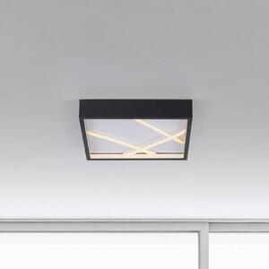 JUST LIGHT. GmbH LED stropní svítidlo Mikado, 30 x cm, černé, stmívatelný, Černá, Obývací pokoj / jídelna, kov, Moderní
