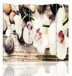 Ozdobný paraván Bílé sedmikrásky květy - 180x170 cm, pětidílný, klasický paraván