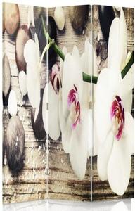 Ozdobný paraván Bílé sedmikrásky květy - 110x170 cm, třídílný, klasický paraván