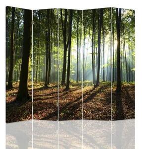 Ozdobný paraván Lesní stromy Krajina - 180x170 cm, pětidílný, klasický paraván