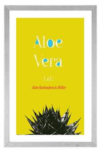 Plakát s paspartou zázračná Aloe Vera