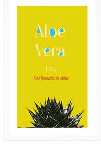 Plakát s paspartou zázračná Aloe Vera