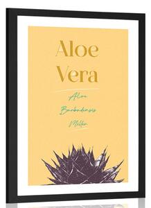 Plakát s paspartou a stylovým nápisem Aloe Vera