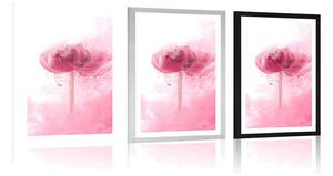 Plakát s paspartou růžový květ v zajímavém provedení