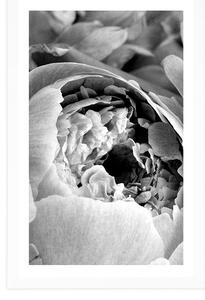 Plakát s paspartou černobílé lupínky květu