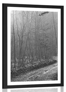 Plakát s paspartou černobílá cestička do lesa