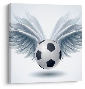 Obraz - Balón s křídly (30x30 cm)