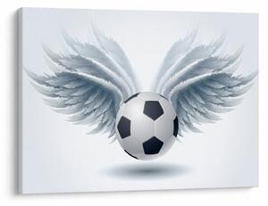 Obraz - Balón s křídly (70x50 cm)