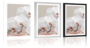 Plakát s paspartou bílá orchidej na plátně