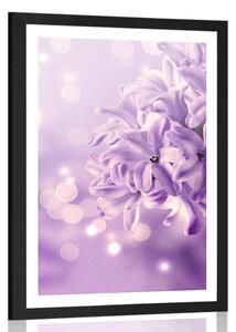 Plakát s paspartou fialový květ šeříku