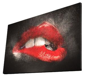 (3727) KISS nástěnný obraz na plátně LED