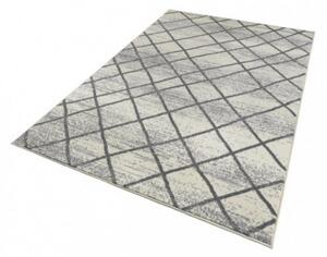 Zala Living - Hanse Home koberce Kusový koberec Capri 102552 Šedá - 70x140 cm