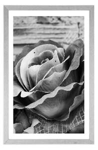 Plakát s paspartou elegantní vintage růže v černobílém provedení