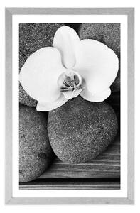 Plakát s paspartou wellness kameny a orchidej na dřevěném pozadí v černobílém provedení
