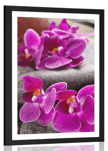 Plakát s paspartou nádherná orchidej a Zen kameny