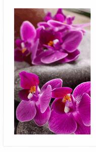 Plakát s paspartou nádherná orchidej a Zen kameny