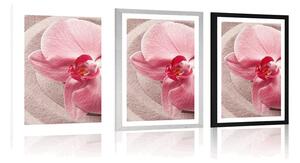 Plakát s paspartou mořský písek a růžová orchidej