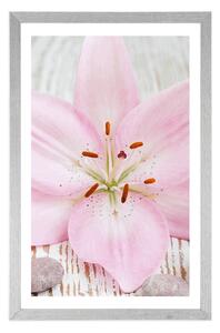 Plakát s paspartou růžová lilie a Zen kameny