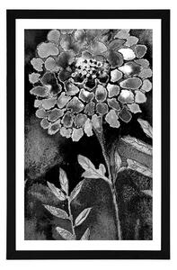 Plakát s paspartou nádherné květiny v černobílém provedení