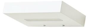 ACA Lighting Wall&Ceiling LED nástěnné svítidlo L36310150U