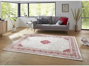 Mint Rugs - Hanse Home koberce Kusový koberec Opulence 104709 Silver-red Bílá - 80x150 cm