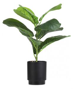 Umělá rostlina SEMELA fíkus 875071 43 cm