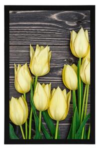 Plakát žluté tulipány na dřevěném podkladu