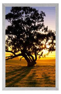Plakát osamělý strom při západu slunce