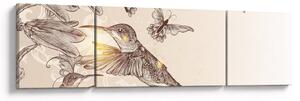Obraz - Kolibříci (170x50 cm)