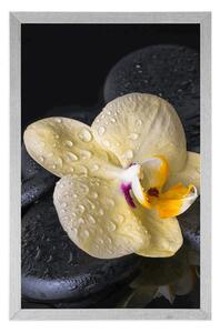 Plakát Zen kameny se žlutou orchidejí