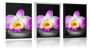 Plakát s paspartou fialová orchidej na Zen kamenech