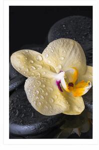Plakát Zen kameny se žlutou orchidejí