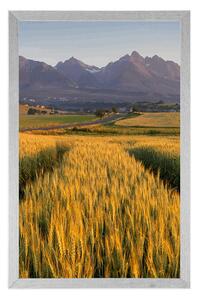 Plakát západ slunce nad pšeničným polem