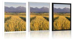 Plakát západ slunce nad pšeničným polem