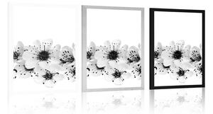 Plakát třešňové květy v černobílém provedení