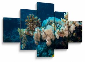 Obraz - V oceánu (125x70 cm)