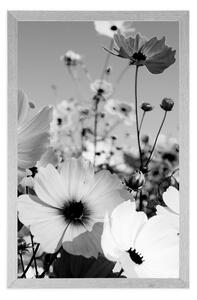 Plakát louka jarních květin v černobílém provedení