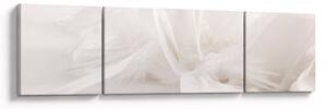 Obraz - Peří (170x50 cm)