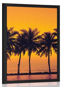 Plakát západ slunce nad palmami