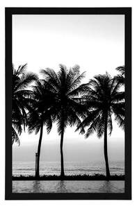 Plakát západ slunce nad palmami v černobílém provedení