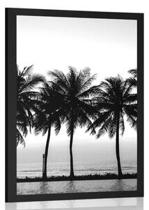 Plakát západ slunce nad palmami v černobílém provedení