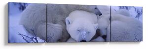 Obraz - Lední medvídci (170x50 cm)