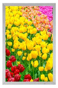 Plakát zahrada plná tulipánů