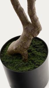 Umělá rostlina Kave Home Pachira 180 cm